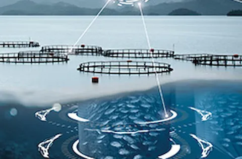 Future food security and supply depends upon seafood. How can you demonstrate responsible harvest and operations?