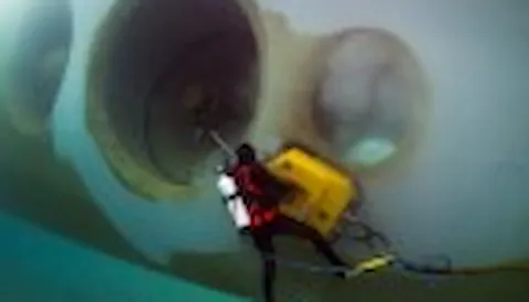 Biofouling Management and In-water Cleaning
