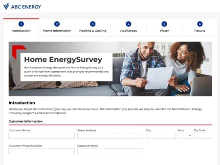DSM Automated Audits