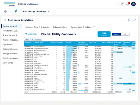 DSM Intelligence