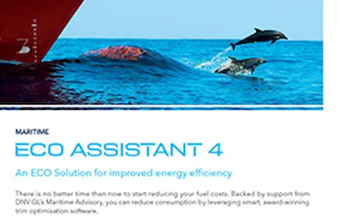 ECO Assistant flyer