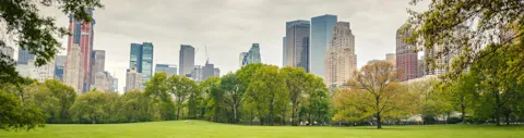 ISO 14001 