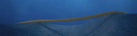 Pipeline free span