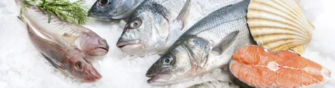 Seafood