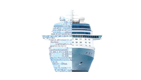 Fleet Cyber Security Officer