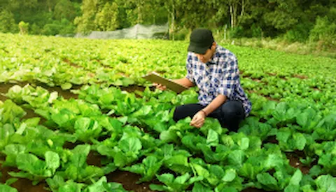 LEAF Marque certification