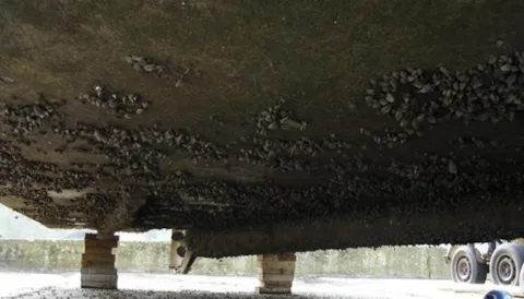 Practical Guide to Antifouling Management & ISO 19030 (online training)