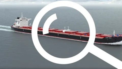 Vetting Inspections for Bulk Carriers